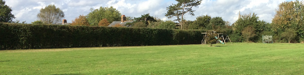 hedge cutting southbourne