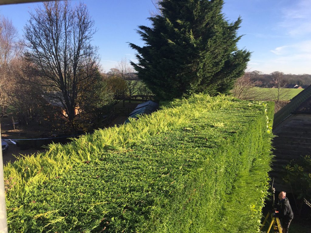 Hedge cutting in Rowlands Castle