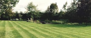 Grass cutting in Rowlands Castle