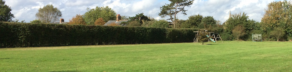 Hedge cutting in Southbourne