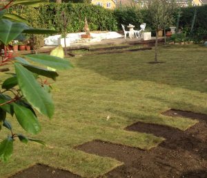 Turfing in Warblington