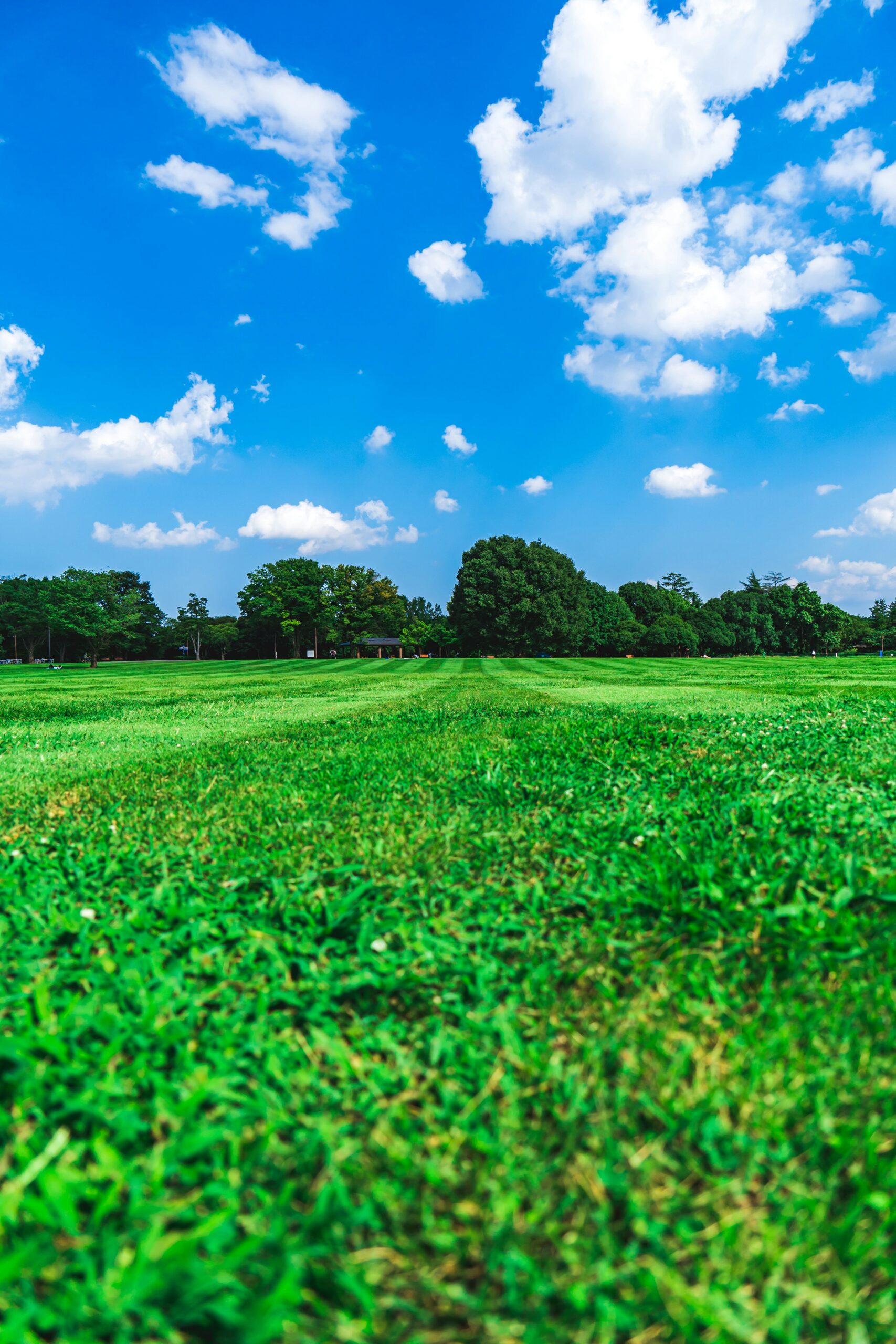 Grounds maintenance portsmouth